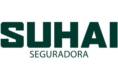 suhai_carrousel_2